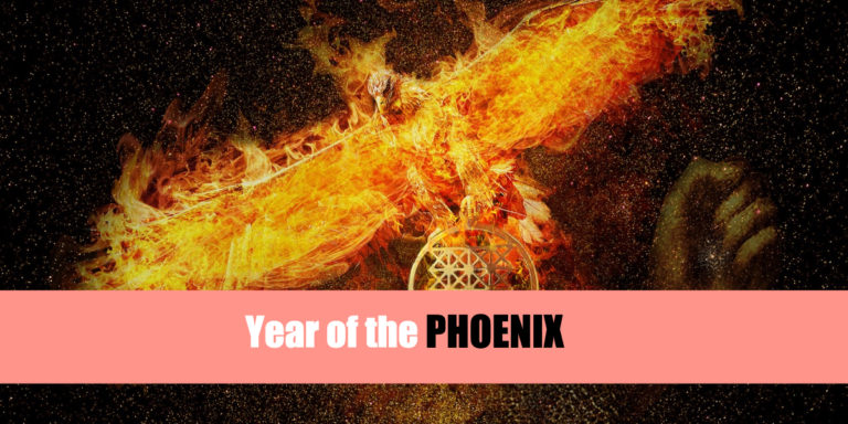 Year of the Phoenix